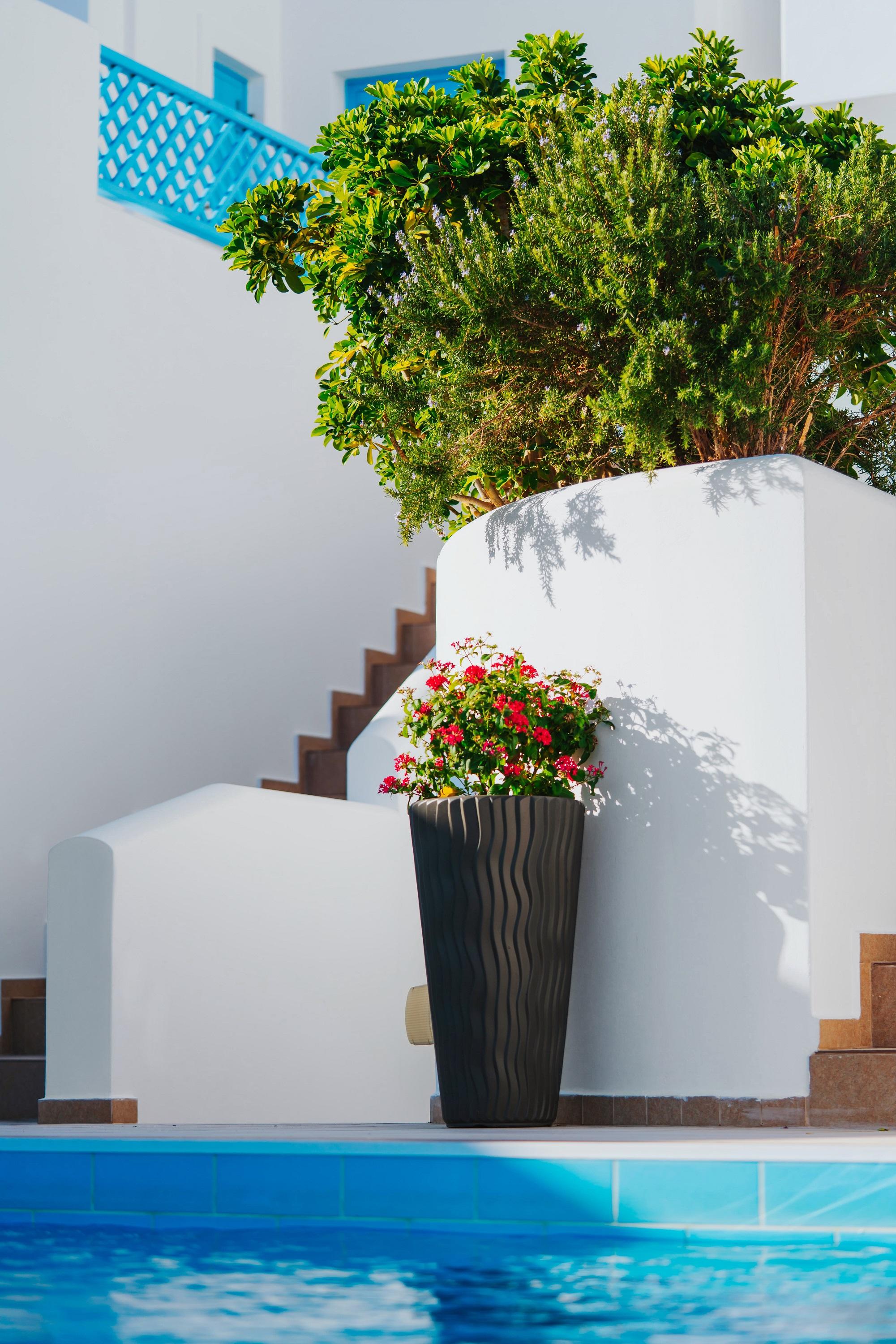 Aelia Apartments & Suites Livadi  Exterior foto